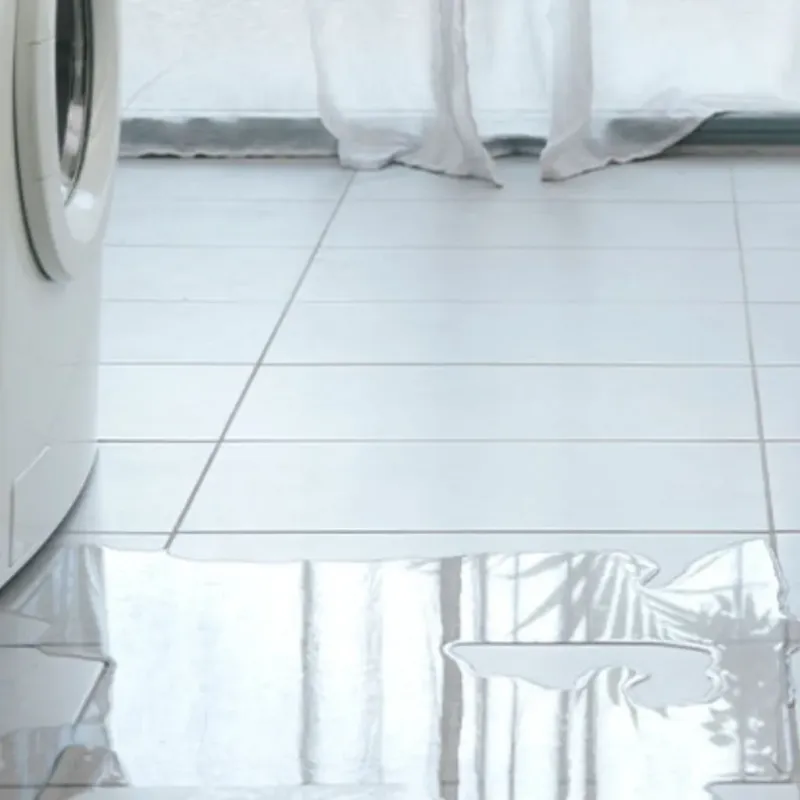 Appliance Leak Cleanup in Loveland, CO